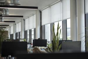 Are Sustainable Blinds a Waste of Time?